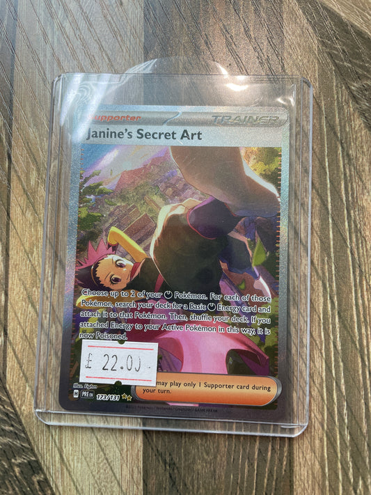 Janine’s Secret Art PRE 173