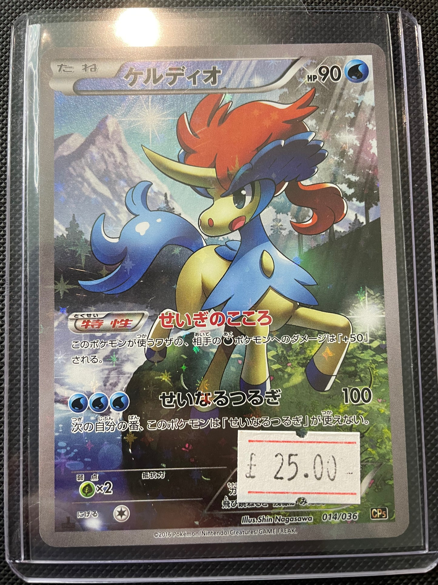 Keldeo 014